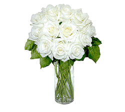 12 White Long Stem Roses 