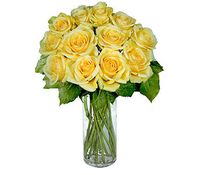 12 Yellow Long Stem Roses 