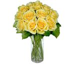 12 Yellow Long Stem Roses 