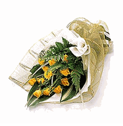 12 yellow roses
