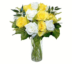12 Yellow & White Designer Long Stem 