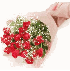 18 Red roses bouquet