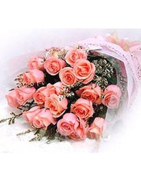 19 pink roses, 