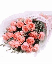 19 pink roses, 