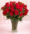 2 Dozen Long Stemmed Red Rose 