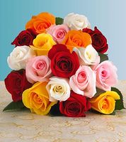 2 Dozen mixed Roses Spring Rose