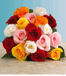 2 Dozen mixed Roses Spring Rose