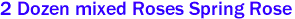 2 Dozen mixed Roses Spring Rose
