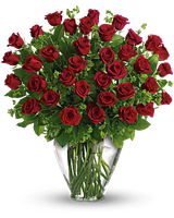 2 Dozen Red Rose sympathy 