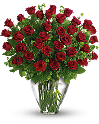 2 Dozen Red Rose sympathy 