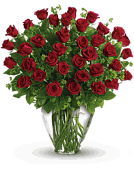 2 Dozen Red Rose sympathy 