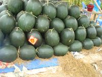 2 Water melon 