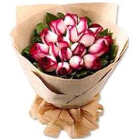 20 roses