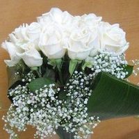 20 White rose