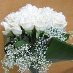 20 White rose