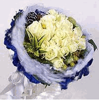 20 white roses