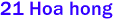 21 Hoa hong 