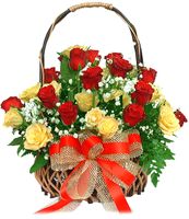 24 Hoa H&#7891;ng (roses)