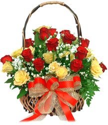 24 Hoa H&#7891;ng (roses)