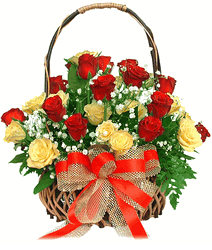 24 Hoa Hồng (roses)