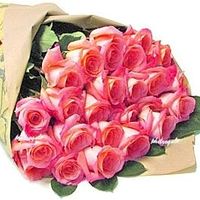 24 pink rose bouquet
