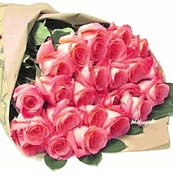 24 pink rose bouquet