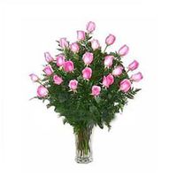 24 Pink roses 
