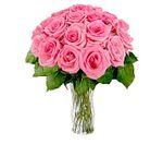 24 Pink Roses 