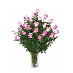 24 Pink roses 