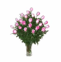 24 Pink roses 