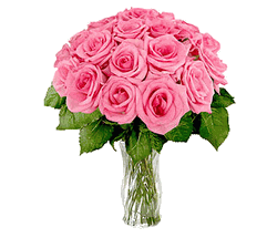24 Pink Roses 