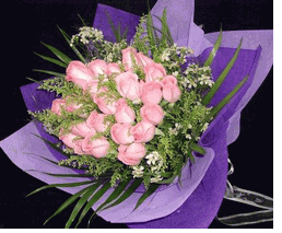 24 Pink Roses bouquet
