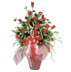 24 red roses 