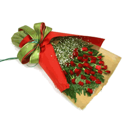 24 red roses