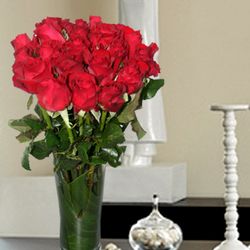  24 Red Roses