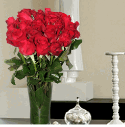  24 Red Roses