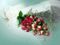 24 roses