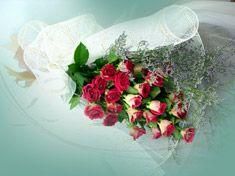 24 roses