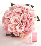  Roses with Truly Pink Fragrance 