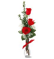  3 Red Roses