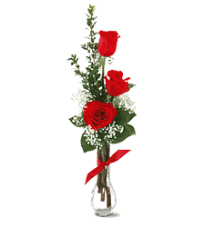  3 Red Roses