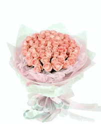 33 pink roses, yarn-round packaging