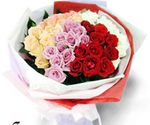 Mixed roses