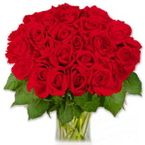 36 Red Rose Valentin