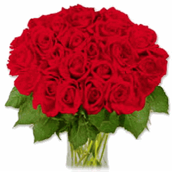 36 Red Rose Valentin