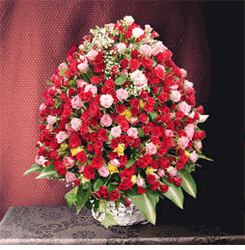 365 assorted color rose basket