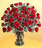 Valentine Day Roses 