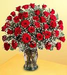 Valentine Day Roses 