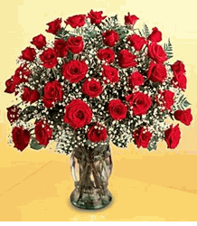 Valentine Day Roses 
