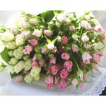 50 White Roses & Pink Mixed Spray Rose